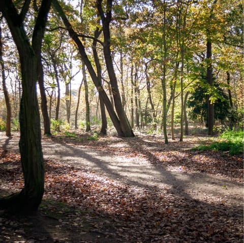 Go for a stroll in the nearby Bois de Boulogne