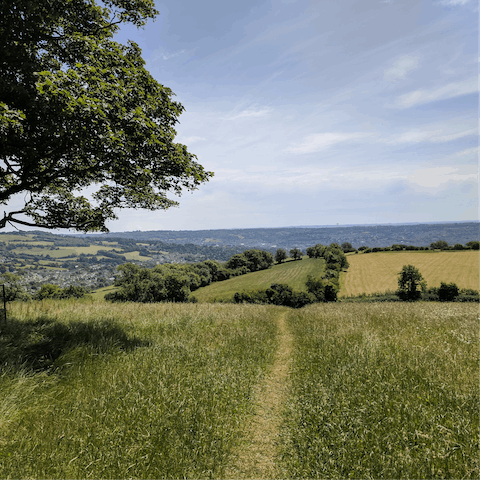 Explore the Somerset countryside surrounding the estate