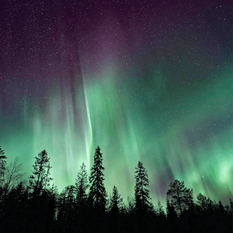 Spend evenings looking out for the  Northern Lights