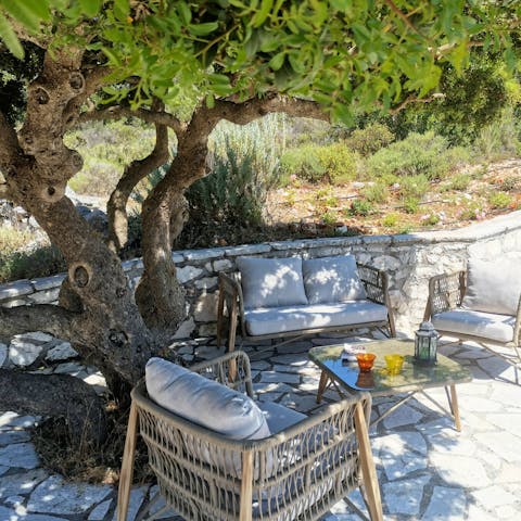 Find a shady spot in the garden for evening drinks