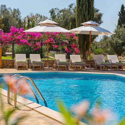 Begin each day with a dip in the private swimming pool