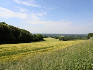 The Fields of Wonder image 12