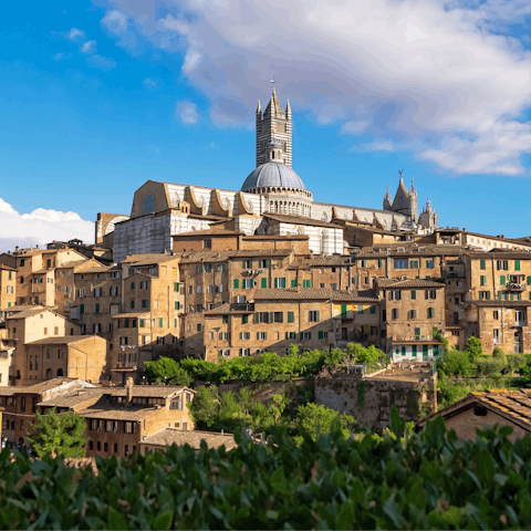 Head into the history-rich streets of Siena for the afternoon, just a short drive away