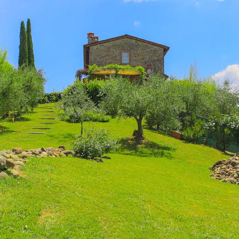 Wander freely among the olive trees of your huge grounds