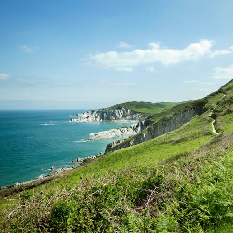 Walk along the South West Coast Path and admire the Devon coastline