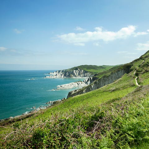 Walk along the South West Coast Path and admire the Devon coastline