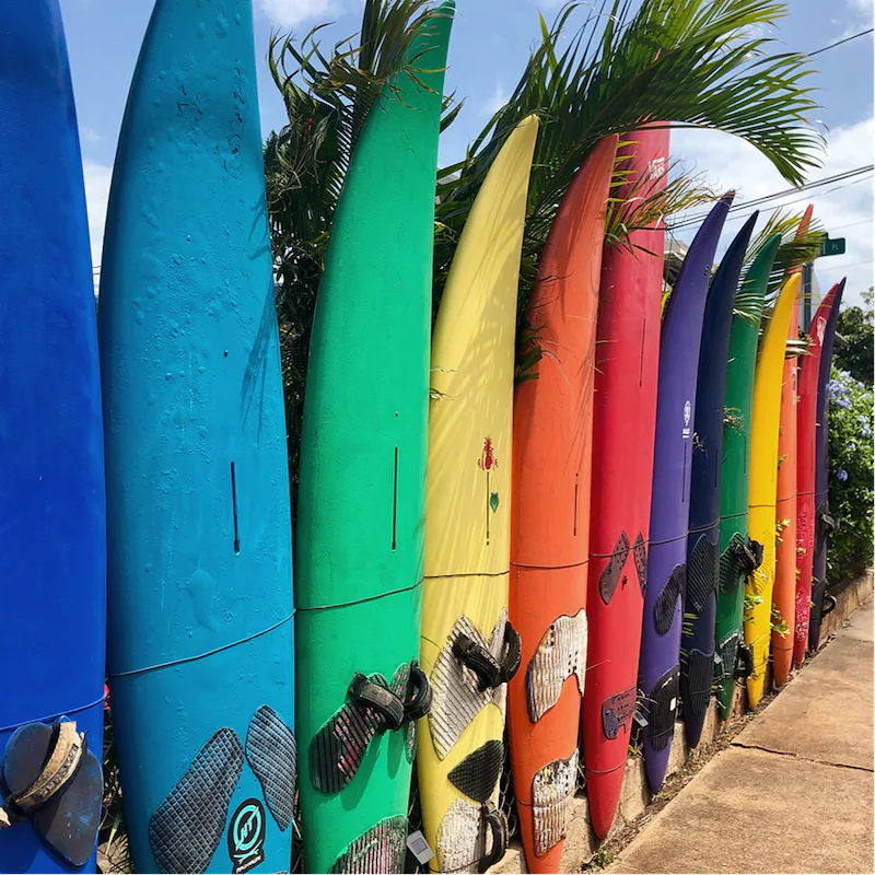 Grab your board and ride the waves at Mission Beach