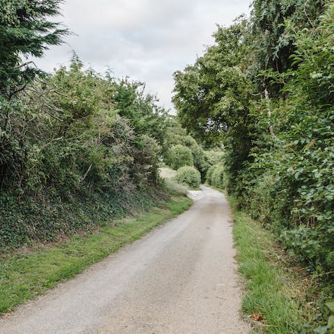 Stroll through the lush greenery of the Somerset countryside surrounding the cottage
