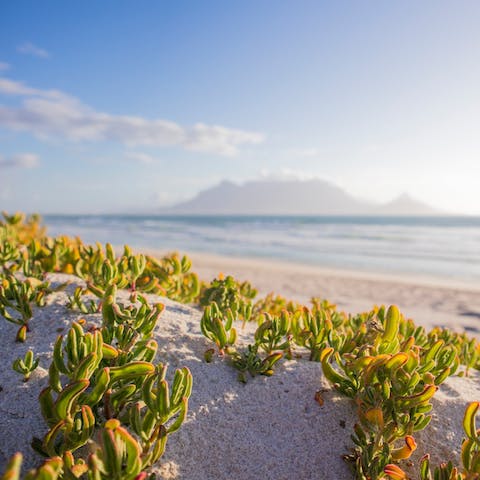 Sun yourself on South Africa's wonderful beaches, from Camps Bay to Clifton you're sure to find your favourite cove