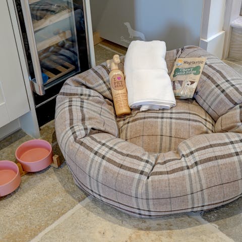 Spoil the pooch with the treats provided by your hosts (towels, shampoo, food treats, bowls and a bed)