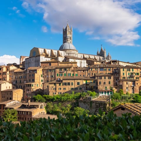 Head into wander-worthy Siena for the afternoon, just a short drive away