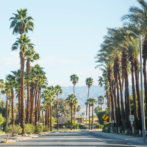 Soak up the unique atmosphere of the Coachella Valley