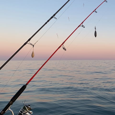 Take advantage of the fantastic fishing opportunities the area is famous for  