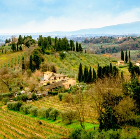 Head out of the city to explore the picturesque Tuscan countryside