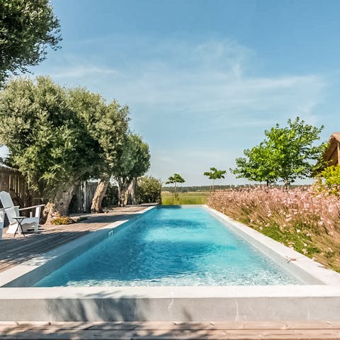 Swim in the serene pool, surrounded by rice fields