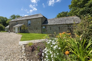 Barn Mouse image 12
