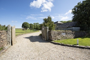 Barn Mouse image 8