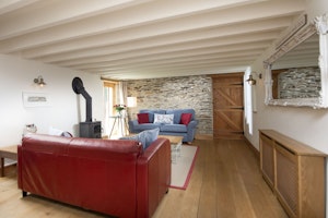 Barn Mouse image 3