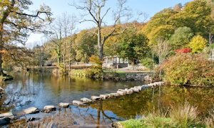 Rivers Edge image 5