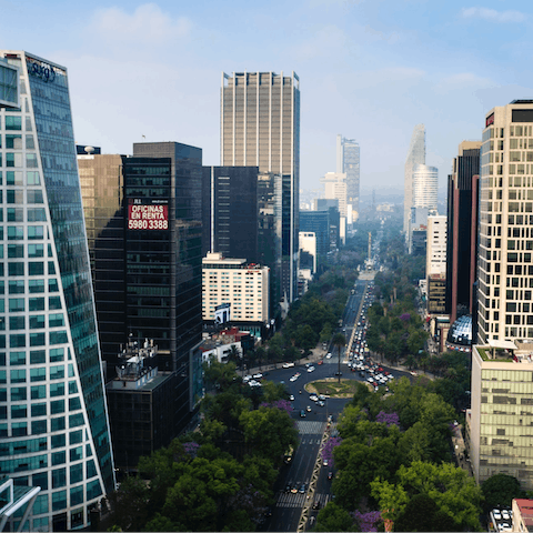 Explore Mexico City from your central location in Polanco