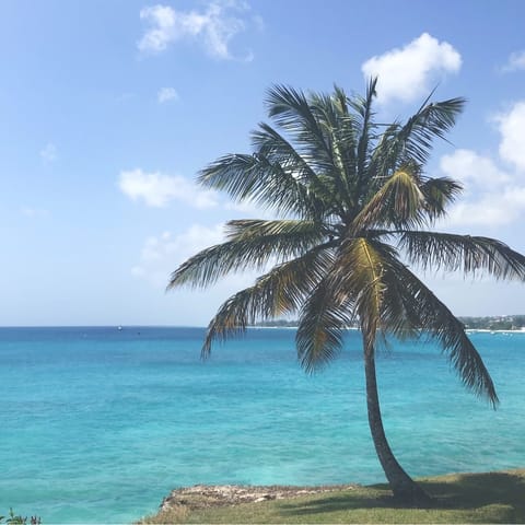 Stay on the stunning southern coast of Barbados