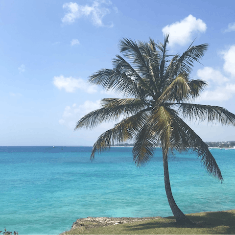 Stay on the stunning southern coast of Barbados