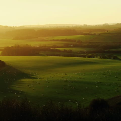 Explore the local trails around the home of Watership Down