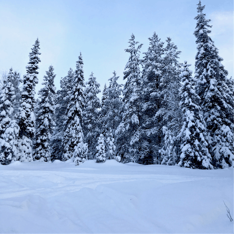 Have some winter fun on the Rukatunturi slopes, just a short drive away