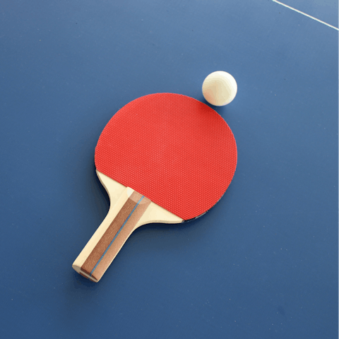 Play a game of table tennis in the recreation room
