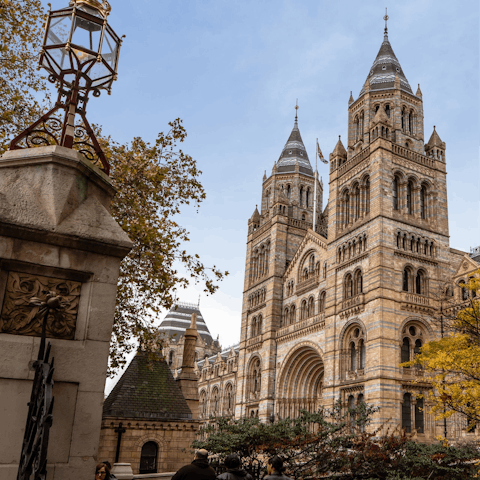 Visit an exhibit at the Natural History Museum