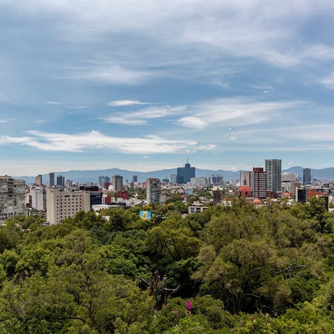 Explore the Mexican capital's top sights from your spot in the La Romita neighbourhood