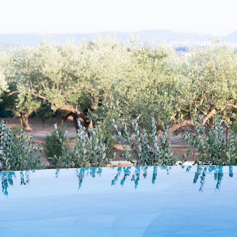Take a dip in the pool and swim up to the edge to take in the breathtaking views