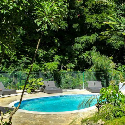 Enjoy a refreshing swim in the shared swimming pool, surrounded by leafy trees