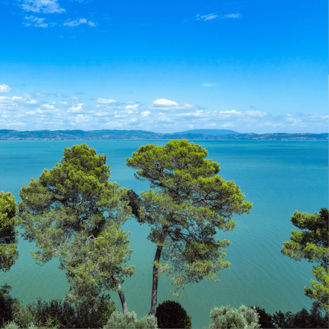 Spend a day on the shores of Trasimeno Lake – it's 32km away