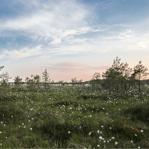 Enjoy sunset walks around Winks Meadow Nature Reserve, a twenty-minute walk away