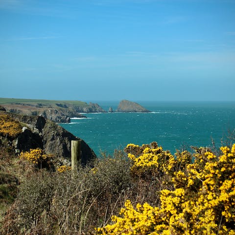 Discover the unspoilt beauty of Pembrokeshire's coastline, starting at Porthmelgan Beach, just a eight-minute drive away