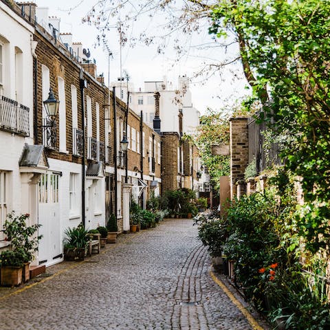 Admire the pretty mews houses of Chelsea
