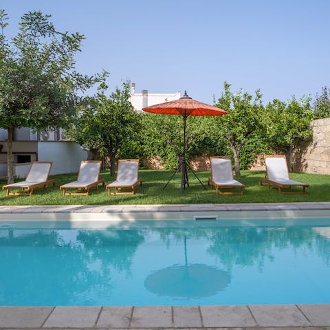 Spend lazy days lounging poolside in the dappled shade of the citrus trees