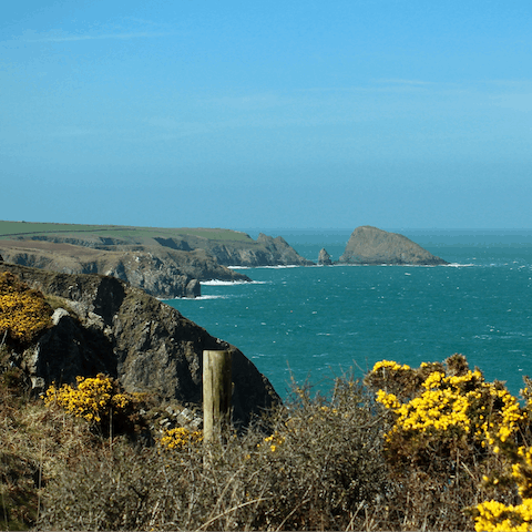 Explore the stunning Pembrokeshire coastline on foot from Newport