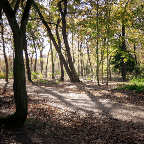 Have a stroll around the nearby Bois de Boulogne