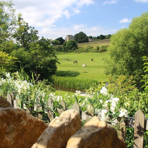 Admire the sweeping views across the countryside – you can spot Ayton Castle in the distance