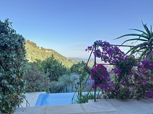 Lavenders & Islands image 4