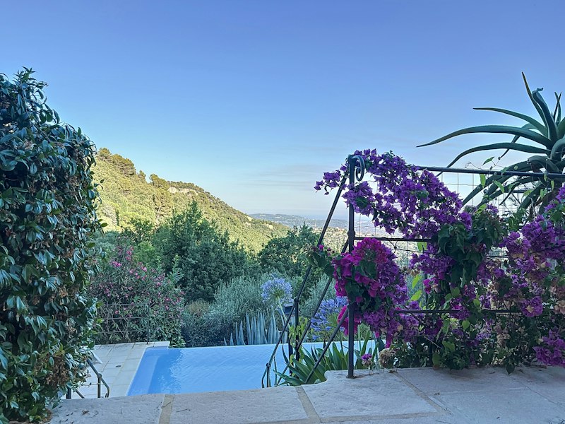 Lavenders & Islands additional image