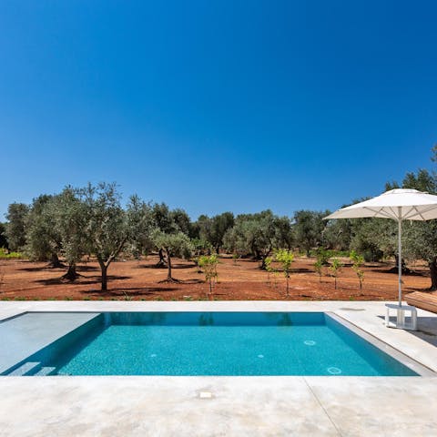 Swim in the private pool, surrounded by olive trees