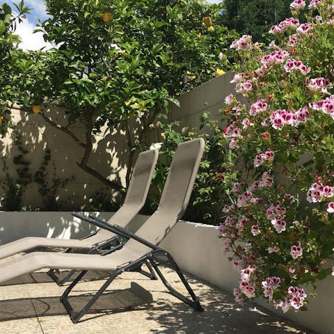 Sunbathe next to the fragrant lemon tree and geraniums