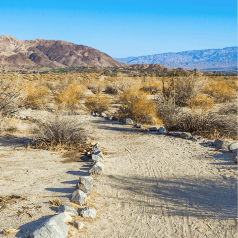 Pick a hiking route and wander through the Coachella Valley