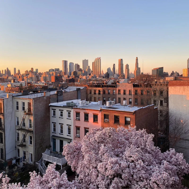 Explore Brooklyn's vibrant Bed-Stuy neighbourhood, right on your doorstep