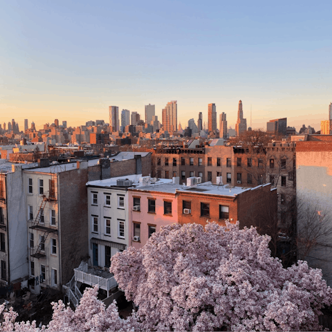 Explore Brooklyn's vibrant Bed-Stuy neighbourhood, right on your doorstep