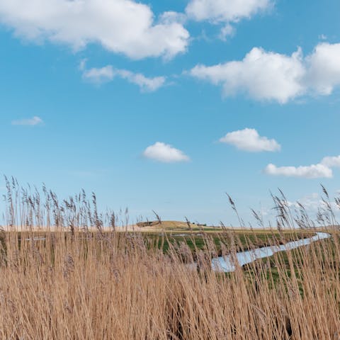 Explore the local walking routes through beautiful Norfolk countryside
