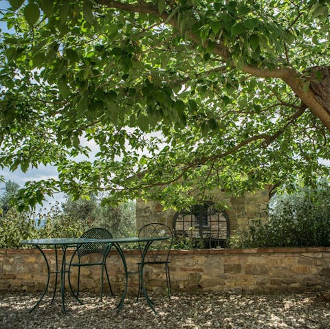 Enjoy your morning coffee in the shade of the trees 